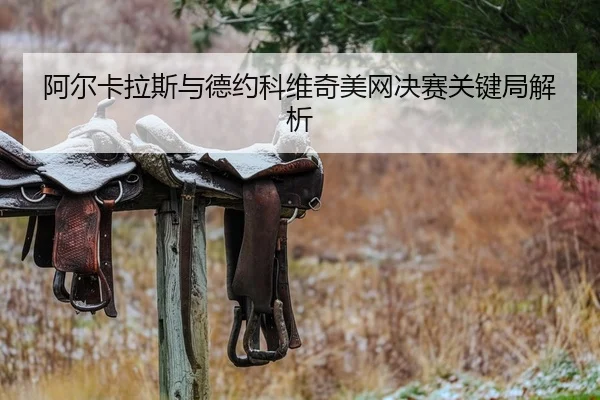 阿尔卡拉斯与德约科维奇美网决赛关键局解析
